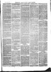 The Salisbury Times Saturday 07 May 1881 Page 3