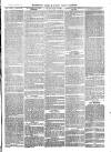 The Salisbury Times Saturday 28 May 1881 Page 3