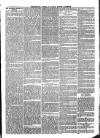 The Salisbury Times Saturday 16 July 1881 Page 3