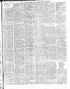 The Salisbury Times Saturday 18 January 1890 Page 7