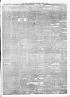 Alloa Advertiser Saturday 04 March 1893 Page 3