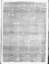 Alloa Advertiser Saturday 08 April 1893 Page 3