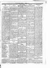 Kirkintilloch Gazette Friday 23 January 1920 Page 3