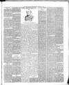South Bucks Standard Friday 27 February 1891 Page 3
