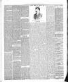 South Bucks Standard Friday 20 March 1891 Page 3