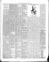 South Bucks Standard Friday 03 April 1891 Page 3