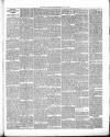 South Bucks Standard Friday 29 May 1891 Page 3