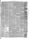 Jarrow Express Saturday 09 May 1874 Page 3