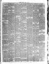 Jarrow Express Saturday 29 April 1876 Page 3