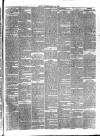 Jarrow Express Saturday 15 July 1876 Page 3