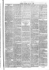 Jarrow Express Friday 07 March 1879 Page 7