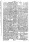 Jarrow Express Friday 14 March 1879 Page 7