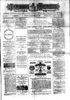 Jarrow Express Friday 27 February 1880 Page 1