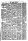 Jarrow Express Friday 16 April 1880 Page 5