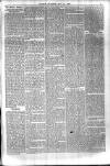 Jarrow Express Friday 14 May 1880 Page 5