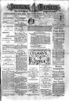 Jarrow Express Friday 11 June 1880 Page 1