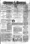 Jarrow Express Friday 18 June 1880 Page 1