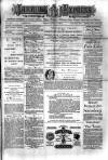 Jarrow Express Friday 09 July 1880 Page 1