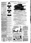 Jarrow Express Friday 08 April 1881 Page 3