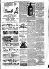 Jarrow Express Friday 23 November 1883 Page 3