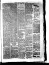 Jarrow Express Friday 08 January 1886 Page 7