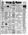 Jarrow Express Friday 20 February 1891 Page 1