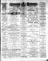 Jarrow Express Friday 09 February 1894 Page 1