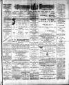 Jarrow Express Friday 22 June 1894 Page 1
