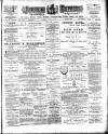 Jarrow Express Friday 20 July 1894 Page 1