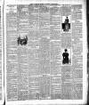 Jarrow Express Friday 26 October 1894 Page 3