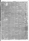 Lincoln Gazette Saturday 01 July 1865 Page 3