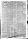 Lincoln Gazette Saturday 14 November 1874 Page 3