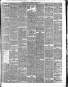 Western Chronicle Friday 15 October 1886 Page 7