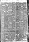 Western Chronicle Friday 14 July 1893 Page 3