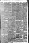 Western Chronicle Friday 11 August 1893 Page 3