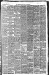 Western Chronicle Friday 25 August 1893 Page 3