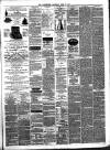 Nuneaton Advertiser Saturday 16 June 1877 Page 3