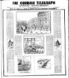 The Cornish Telegraph Wednesday 06 February 1901 Page 9