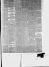 Western Daily Mercury Thursday 28 January 1875 Page 5