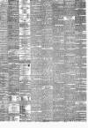 Western Daily Mercury Tuesday 29 March 1881 Page 2