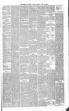 Shepton Mallet Journal Friday 10 June 1881 Page 3