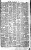 Shepton Mallet Journal Friday 01 July 1881 Page 3
