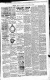 Shepton Mallet Journal Friday 23 June 1893 Page 7