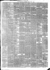 Peterborough Advertiser Saturday 05 July 1873 Page 3