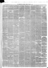 Peterborough Advertiser Saturday 05 February 1876 Page 3