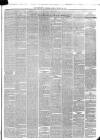 Peterborough Advertiser Saturday 26 February 1876 Page 3