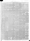 Peterborough Advertiser Saturday 11 March 1876 Page 3