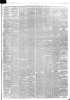 Peterborough Advertiser Saturday 25 March 1876 Page 3