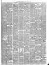 Peterborough Advertiser Saturday 27 January 1877 Page 3