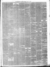 Peterborough Advertiser Saturday 31 January 1880 Page 3